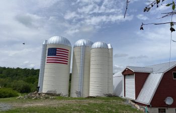 Freshly painted silos