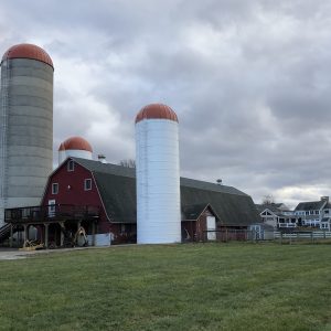 New and painted roofs
